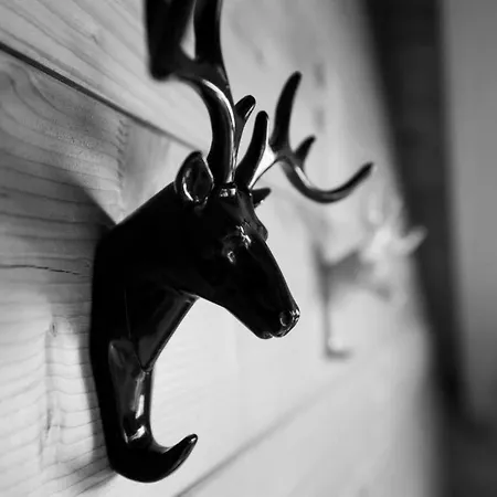 Mit Indoorrutschbahn By Interhome Apartment