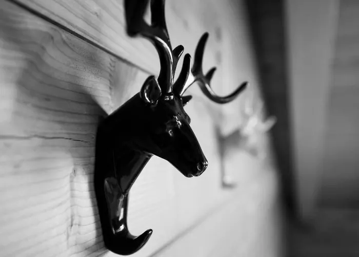 Mit Indoorrutschbahn By Interhome Apartment